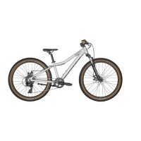 Velosipēds Scott ROXTER 24 silver